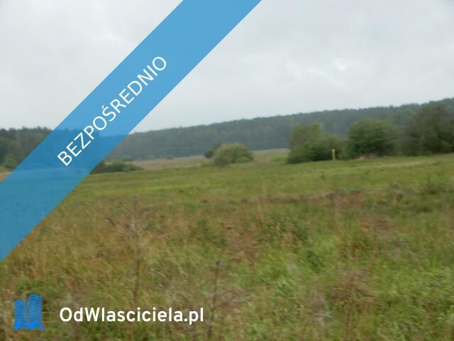 Syndyk sprzeda udział 1/8, Oborzany, działki nr 240, nr 459, nr 505 - cena 100% wartości oszacowania