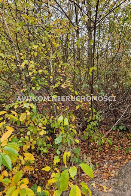 Działka budowlana Jaktorów Chylice