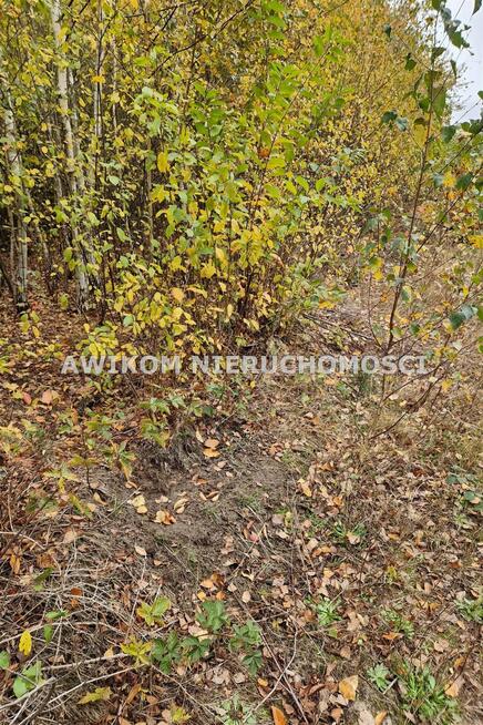 Działka budowlana Jaktorów Chylice