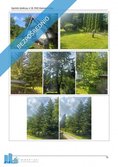 Syndyk sprzeda przeniesienie ogółu praw i obowiązków działkowca wynikających z umowy dzierżawy dział