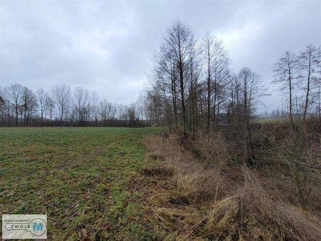 Działka rolna Bodzentyn Sieradowice Drugie