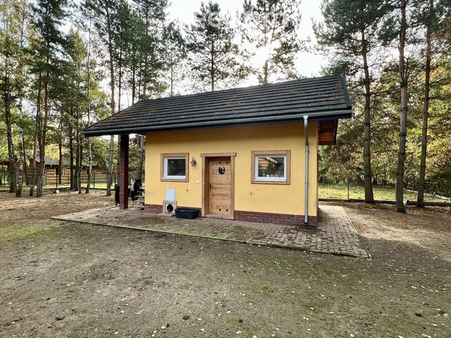 Działka w lesie z zabudową – Wędzina