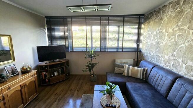 Mieszknie 3.pokoje po remoncie przy Hanza