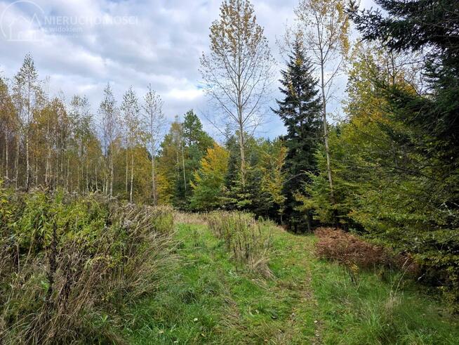 Działka rolna Strzeszyn gm. Biecz