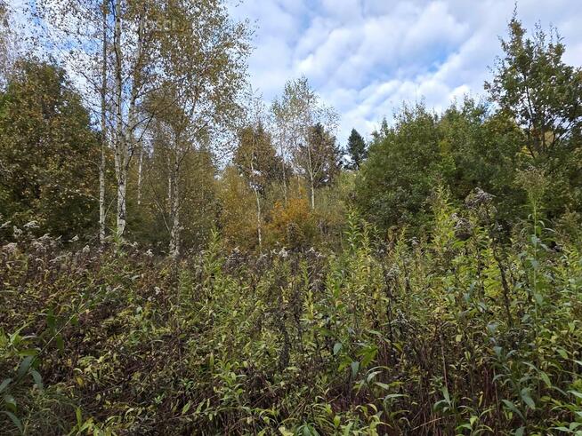 Działka rolna Strzeszyn gm. Biecz