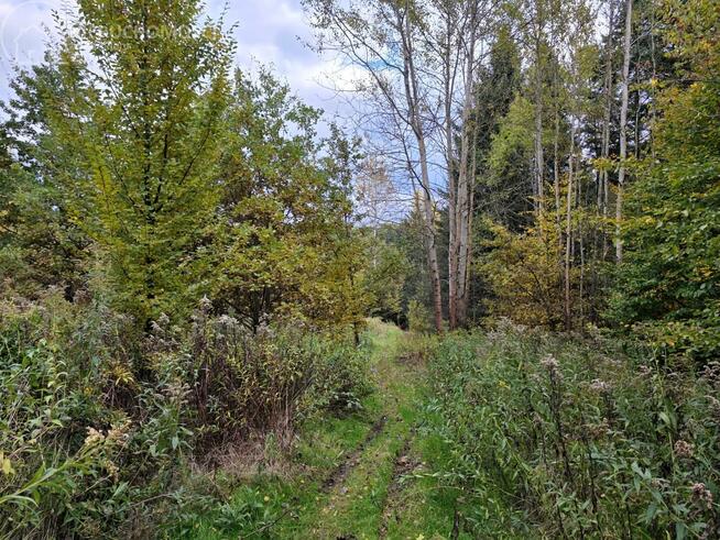 Działka rolna Strzeszyn gm. Biecz