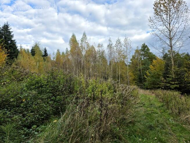 Działka rolna Strzeszyn gm. Biecz