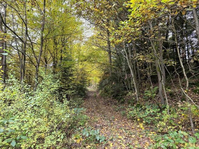 Działka rolna Strzeszyn gm. Biecz