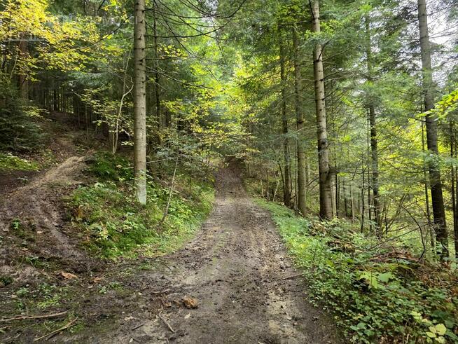 Działka rolna Strzeszyn gm. Biecz