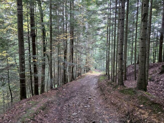 Działka rolna Strzeszyn gm. Biecz