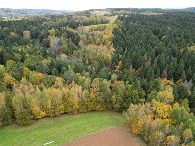 Działka rolna Strzeszyn gm. Biecz
