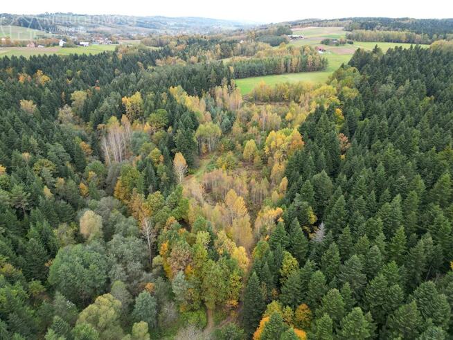 Działka rolna Strzeszyn gm. Biecz
