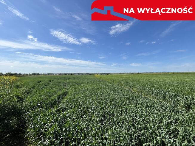 Działka 0,82ha U/MN Wólka gm. Długie pod Lublinem.