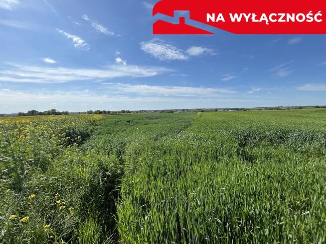 Działka 0,82ha U/MN Wólka gm. Długie pod Lublinem.