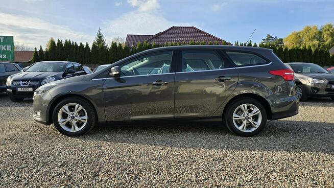 Ford Focus LED, serwisowany