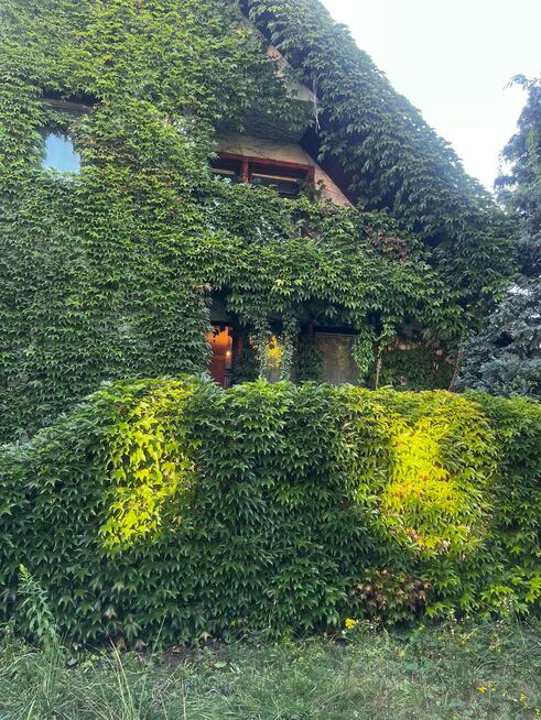 Dom Częstochowa Tysiąclecie, prof. Jerzego Władysława Kołakowskiego