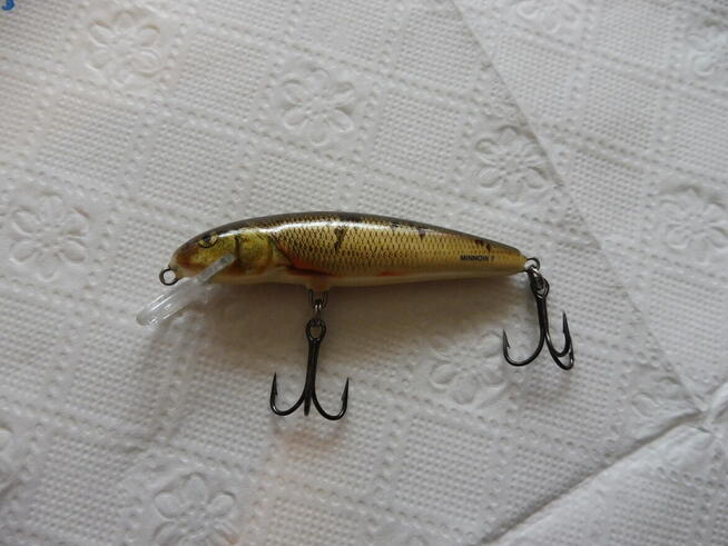 Wobler Salmo Minnow 7cm 8g, kolor Wounded Dace