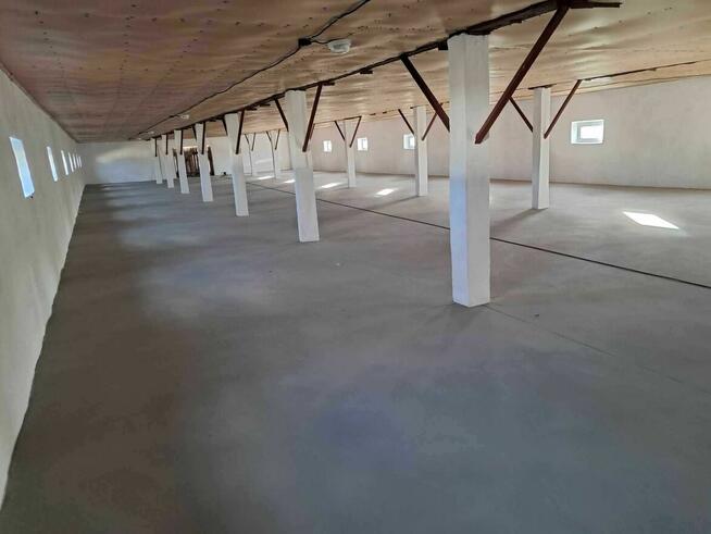 Miejsca parkingowe na zimę do wynajęcia