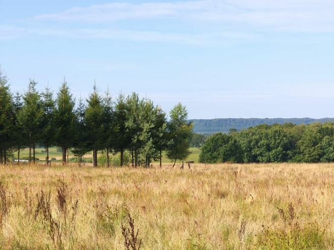 Z dala od spojrzeń sąsiadów