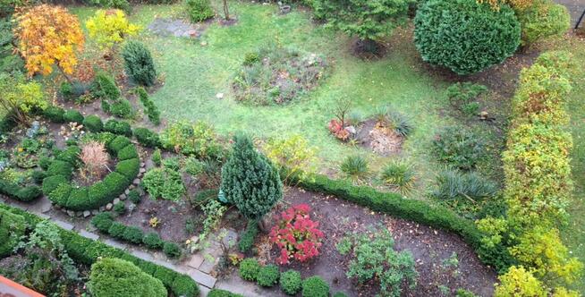 Sprzedam 3-pokojowe / Osiedle Niepodległości