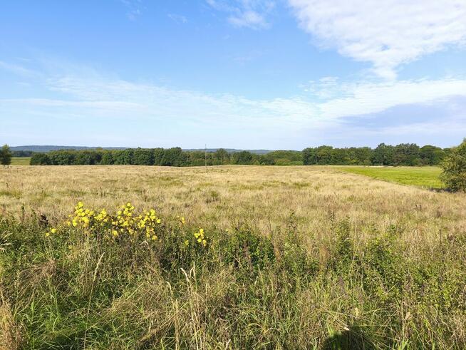 Z dala od spojrzeń sąsiadów