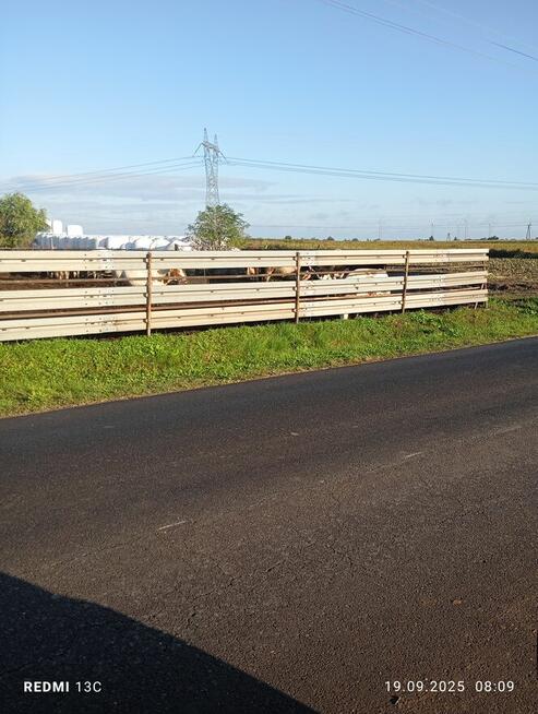 Bariery drogowe wygrody