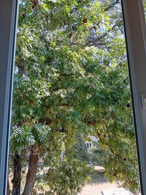 Posprzątam mieszkanie, dom, apartament solidnie