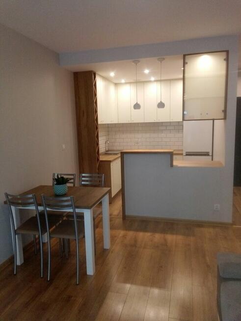 mieszkanie do wynajęcia