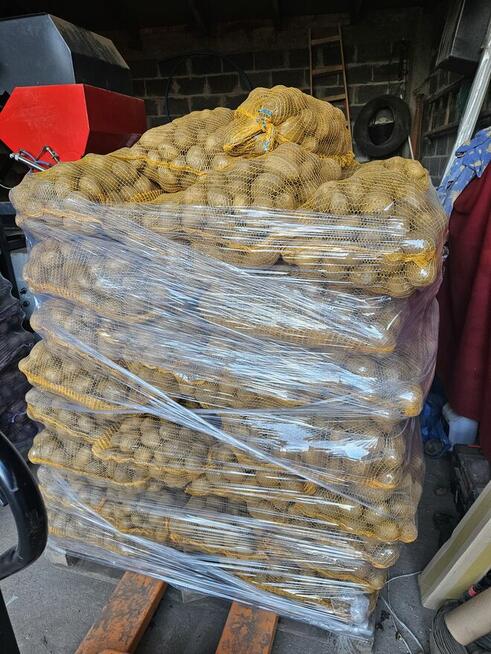 Ziemniaki jadalne Ignacy, Soraya – na paletach