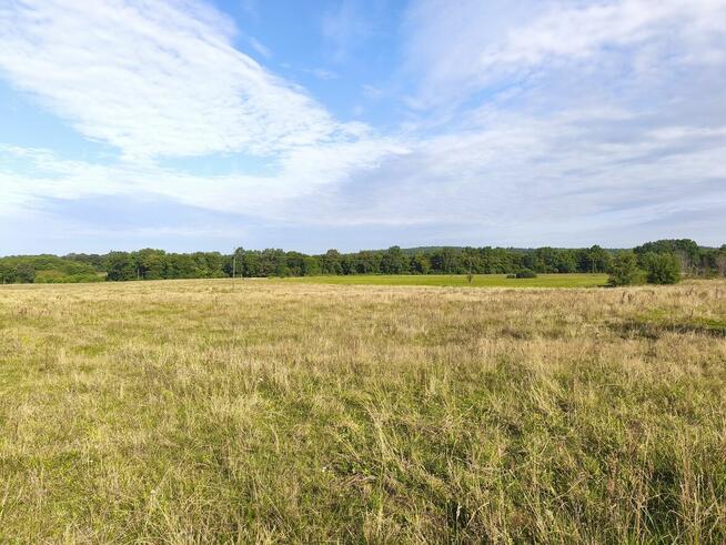 Z dala od spojrzeń sąsiadów