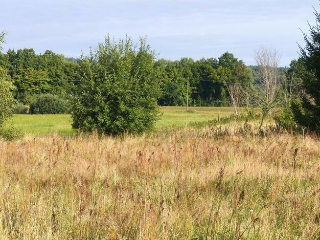Z dala od spojrzeń sąsiadów