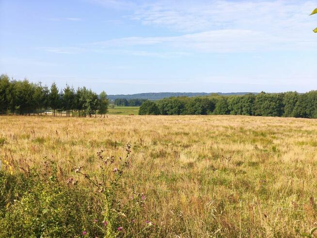Z dala od spojrzeń sąsiadów