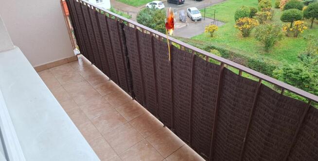 Sprzedam 3-pokojowe / Osiedle Niepodległości