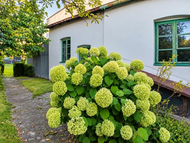 Dom Olsztyn