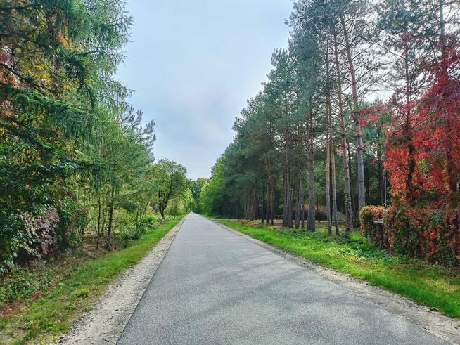 Działka przy lesie 1tys m Helenów gm Głowno