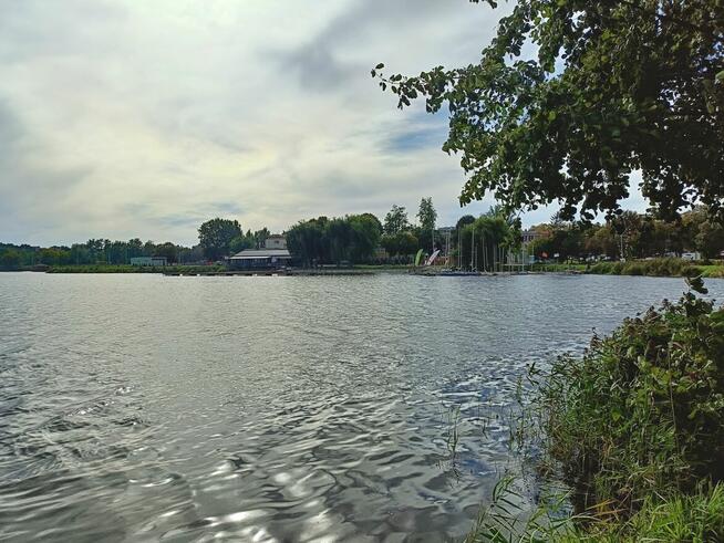 Działka przy lesie 1tys m Helenów gm Głowno