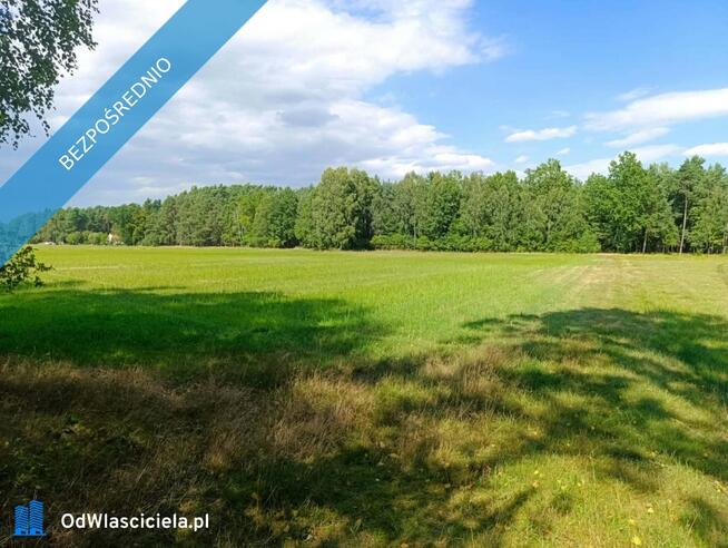 Siedlisko 3,57 ha z zabudowaniami i własnym lasem – Siedlików k. Ostrzeszowa