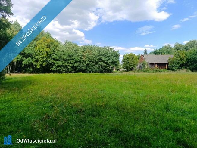 Siedlisko 3,57 ha z zabudowaniami i własnym lasem – Siedlików k. Ostrzeszowa