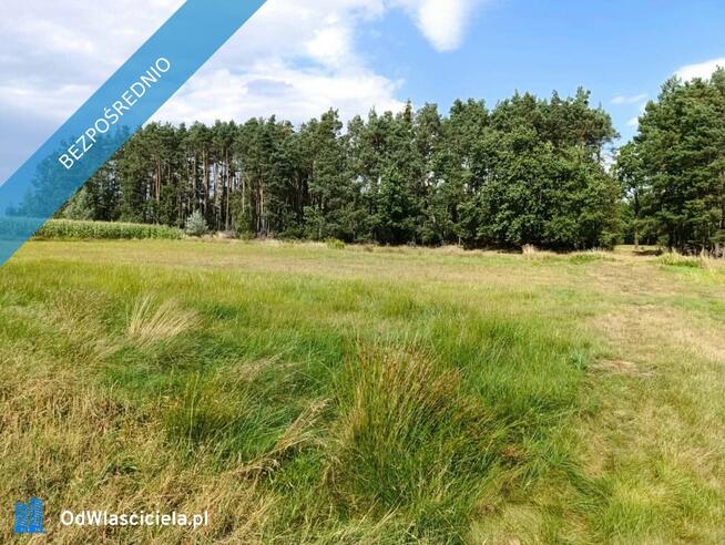 Siedlisko 3,57 ha z zabudowaniami i własnym lasem – Siedlików k. Ostrzeszowa