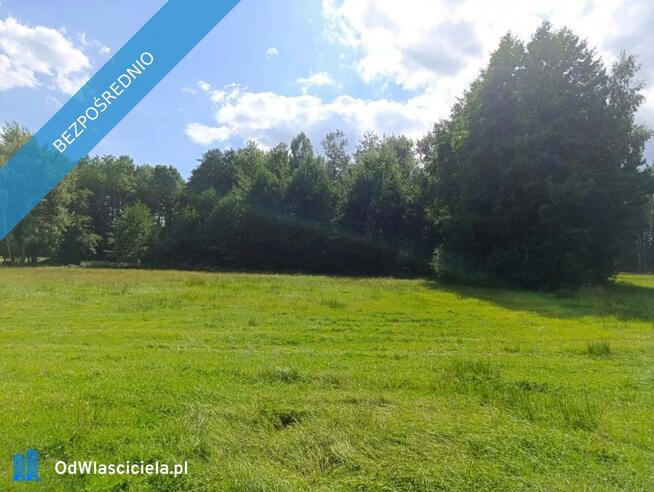 Siedlisko 3,57 ha z zabudowaniami i własnym lasem – Siedlików k. Ostrzeszowa