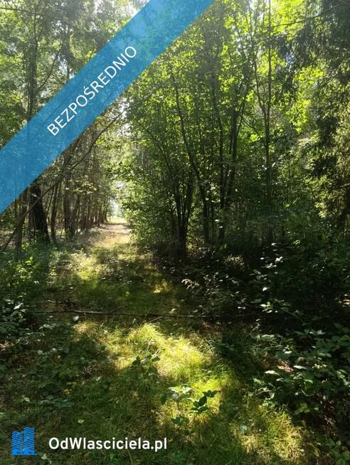 Siedlisko 3,57 ha z zabudowaniami i własnym lasem – Siedlików k. Ostrzeszowa