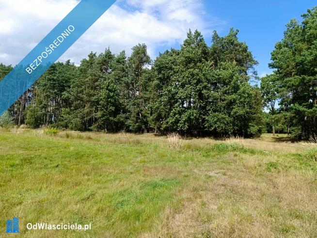 Siedlisko 3,57 ha z zabudowaniami i własnym lasem – Siedlików k. Ostrzeszowa