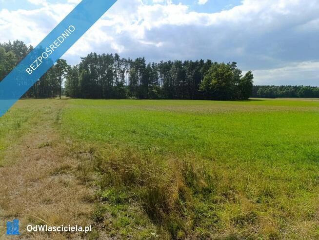 Siedlisko 3,57 ha z zabudowaniami i własnym lasem – Siedlików k. Ostrzeszowa