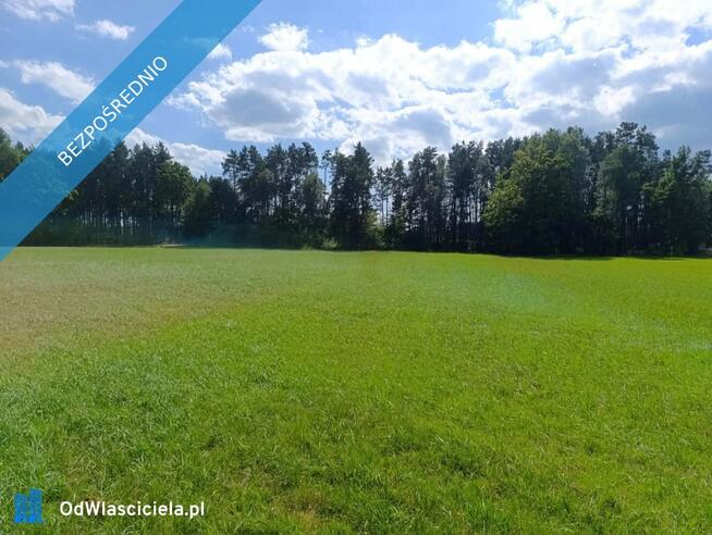 Siedlisko 3,57 ha z zabudowaniami i własnym lasem – Siedlików k. Ostrzeszowa