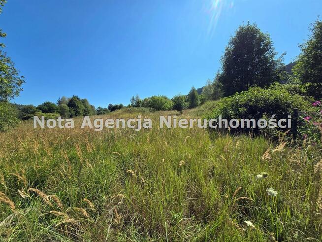 Działka rolna Głuszyca Górna gm. Głuszyca, Graniczna