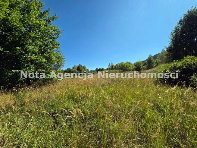 Działka rolna Głuszyca Górna gm. Głuszyca, Graniczna
