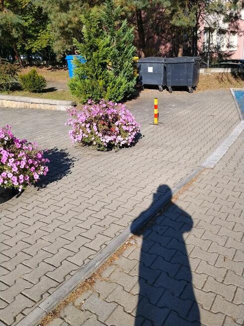 Kostka behaton z rozbiórki