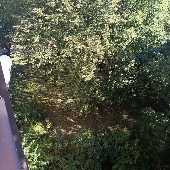 ZAMIENIĘ M4 k KZGM Katowice na 2 pokoje KZGM