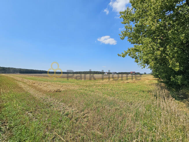 Działka inwestycyjna Kaleje gm. Śrem,