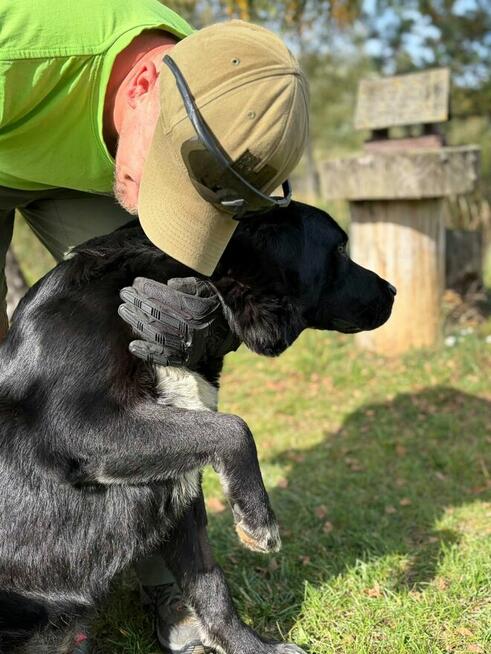 Pilne!!Barnaba duzy piescioch czeka na adopcję Bełchatów
